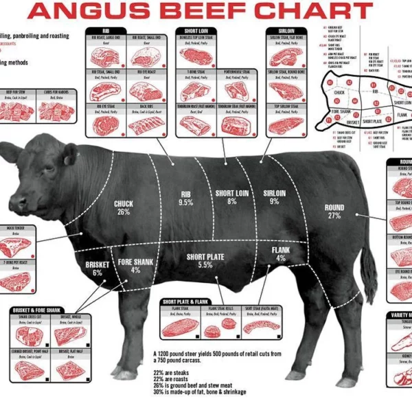 whole cow